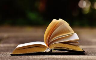 Lancement du livre “Le jour où” à Meyras_Meyras - ©pixabay