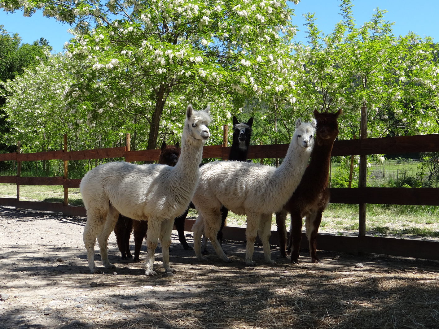 Lussas Wildlife Park