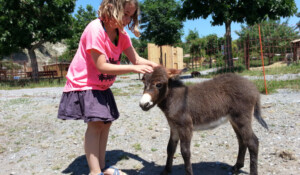 Parc animalier à Lussas