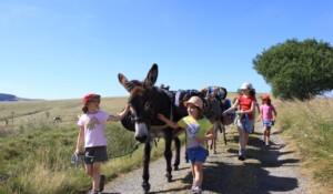 Hiking with a donkey