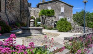 Saint-Vincent-de-Barrès: a village with outstanding character_Saint-Vincent-de-Barrès