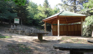 Fôret communale de Roiffieux_Roiffieux