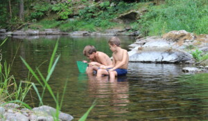 Baignade dans la Daronne