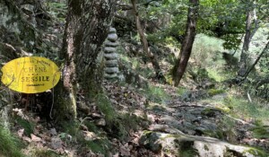Barnas - Balade au sentier botanique - chêne sessile ©sourcesetvolcans