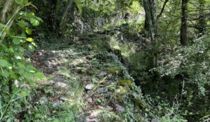 Barnas - Balade au sentier botanique - montée ©sourcesetvolcans