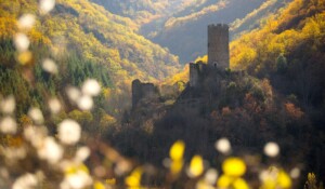 Chadenac tower_Barnas