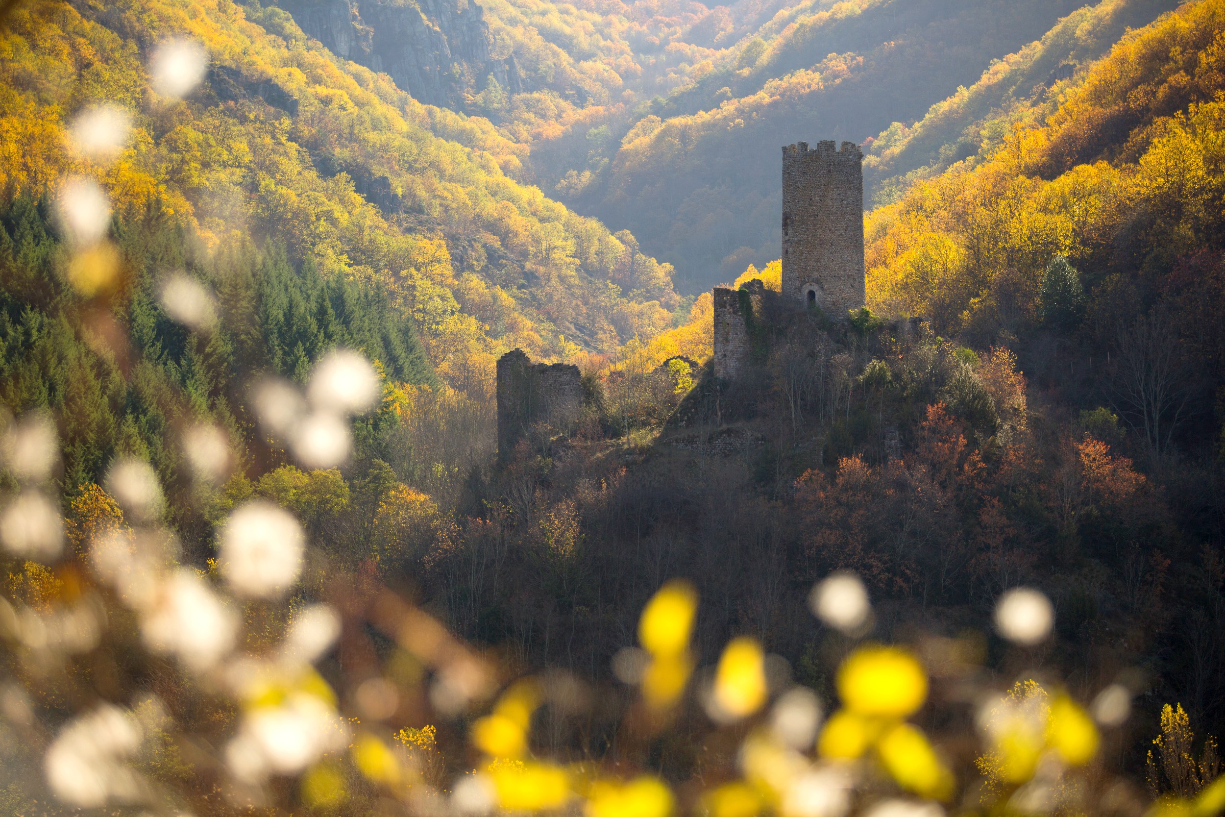 Chadenac-Turm_Barnas