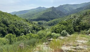 Barnas - en haut du sentier botanique ©sourcesetvolcans