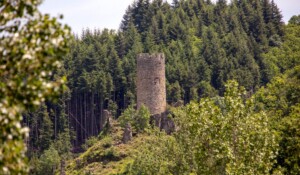 Chadenac tower_Barnas