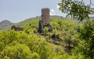 Tour de Chadenac en été (terrain privé) - ©sourcesetvolcans