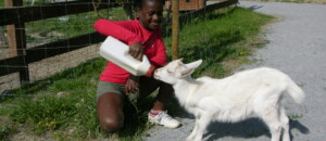 Parc animalier à Lussas