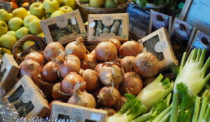 Biocoop les Gatôbis_Prades