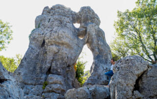 L'ours et le lion - ©ot Cévennes d'Ardèche