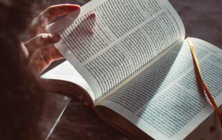 Les jours de la dame : Lectures androgynes_Chirols - ©pixabay
