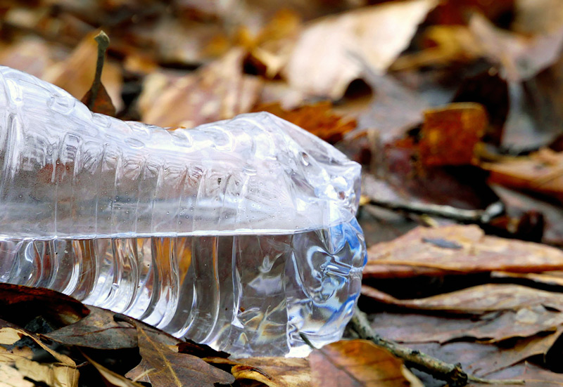 Bouteille en plastique dans la nature