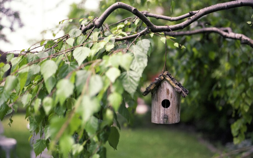 Nature Workshop – A restaurant for little ones