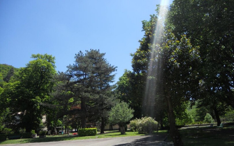 Picknickplatz im Stadtpark