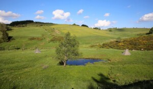 Pré du Bois bivouac area