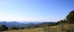 Burzet - Les hauteurs de la tourbière