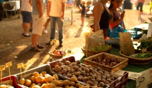 Terroir und Wissen montags Märkte