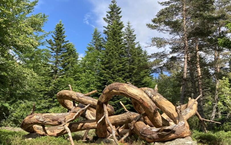 œuvre Ouroboros