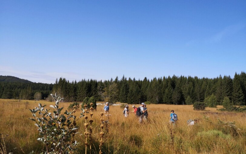 Burzet - rando guidée de la tourbière de la verrerie