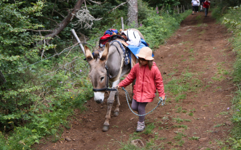 Familienwanderung mit einem Esel auf dem Fernwanderweg GR®7 und der Wasserscheide (nördlicher Teil)_Burzet