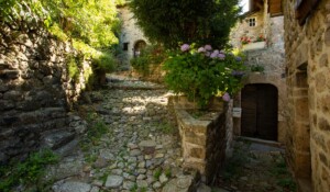 Hiking : The Blueberry circuit in Burzet