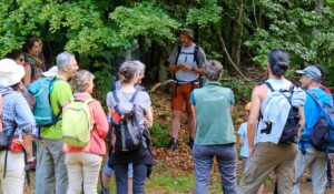 Burzet - visite guidée à la tourbière ©O.Mathis-MCR