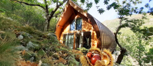 Cabane la Châtaigne