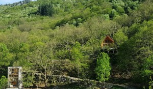 les cabanes du loup bleu