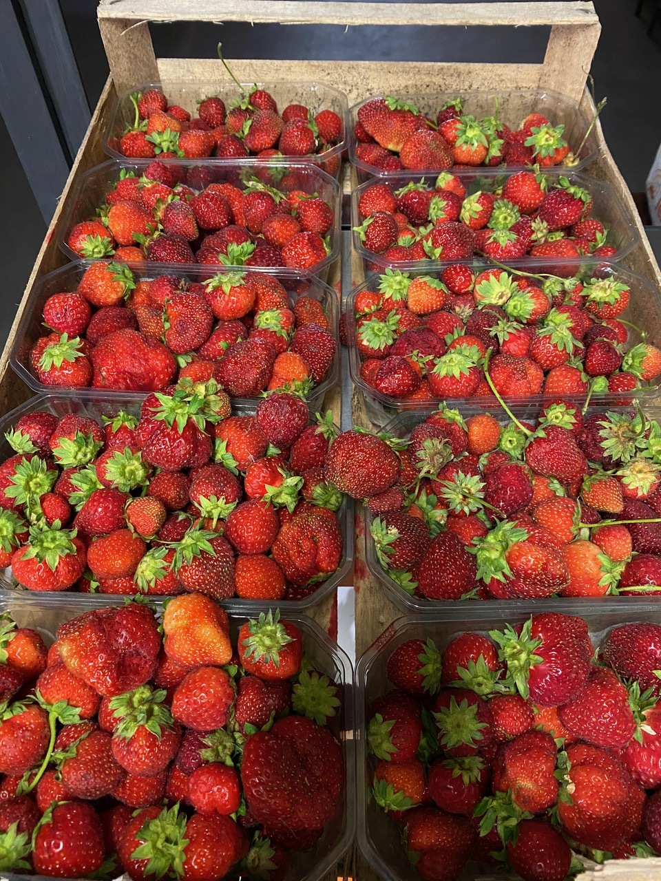 Châtaigne et Caramel Glacier_Jaujac