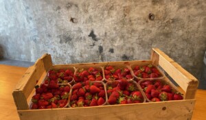 Cagette de fraises locales 2