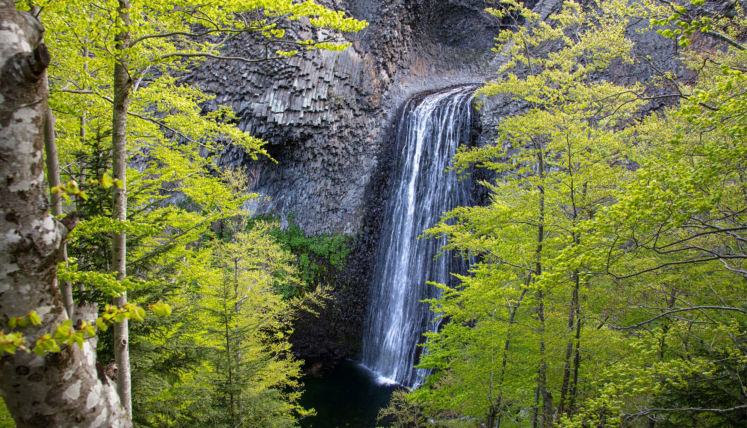 Orgues basaltiques de la Cascade du Ray Pic