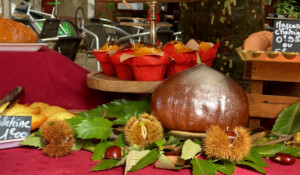 Chestnut festival : Castagnades in Jaujac