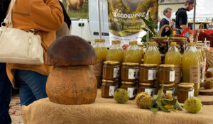 Chestnut festival : Castagnades in Jaujac