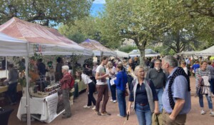 Kastanienfest in Meyras_Meyras