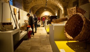 Castanea - Discover the world of sweet chestnut