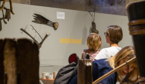 Castanea - Discover the world of sweet chestnut