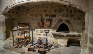 Castanea - Discover the world of sweet chestnut