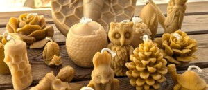 La Ferme des Abeilles