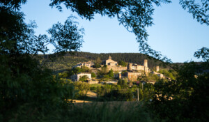 Saint-Vincent-de-Barrès: a village with outstanding character_Saint-Vincent-de-Barrès
