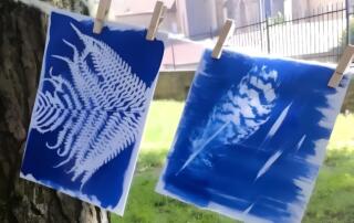 Exemple de cyanotype - ©CécileGarnierAbou