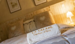 Chambre d'hôte la Calade - Chambre ocre - serviettes de bain ©c.fadda