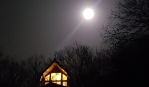 The 'Cabanes du Loup Bleu' guesthouse