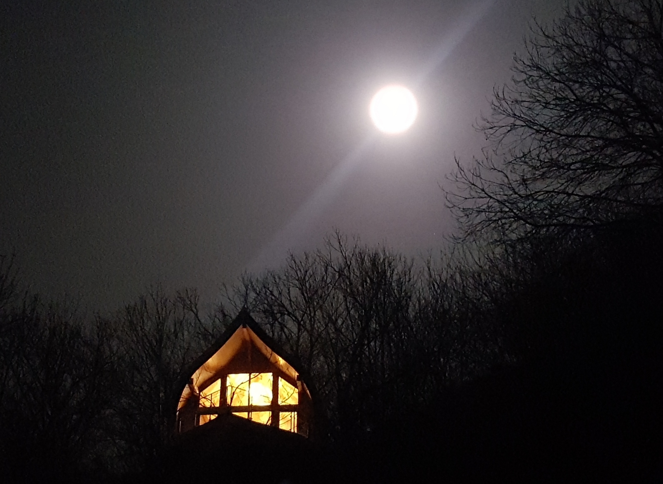 les cabanes du loup bleu
