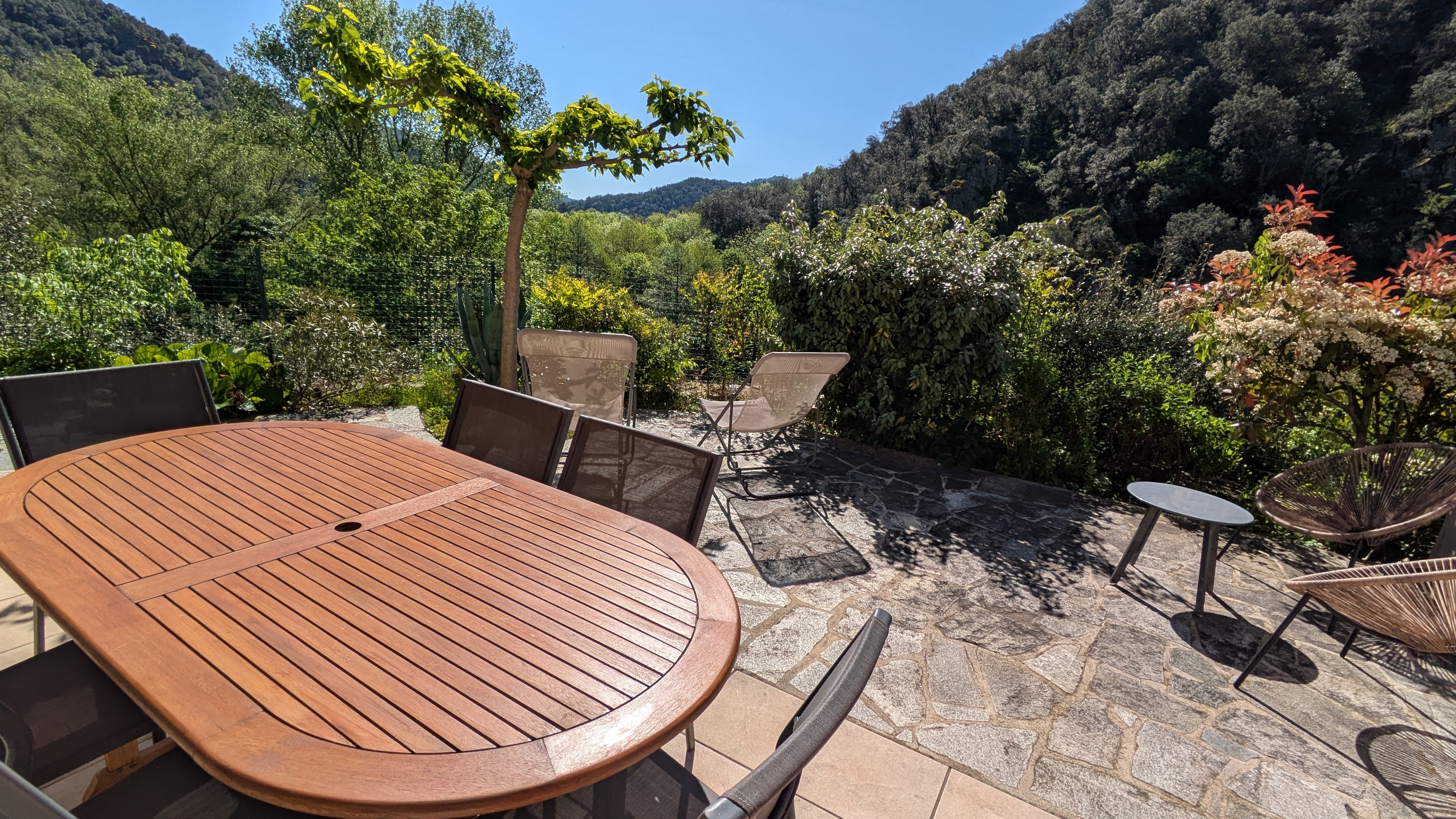 Châtaignier (gîtes de Neyrac-les-Bains)_Meyras