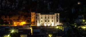 Castle of Vogüé