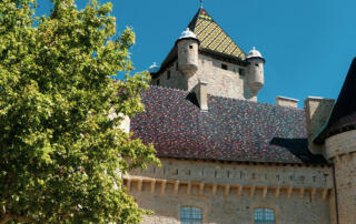 Château d’Aubenas