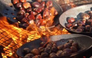 Rôtie de châtaignes à Lalevade d’Ardèche - ©pixabaymakamuki0